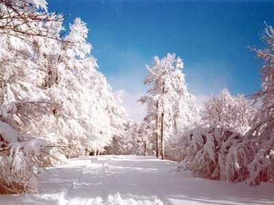 amanecer nevado amanecer nevado