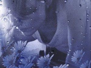 Verónica Victoria Romero Reyes